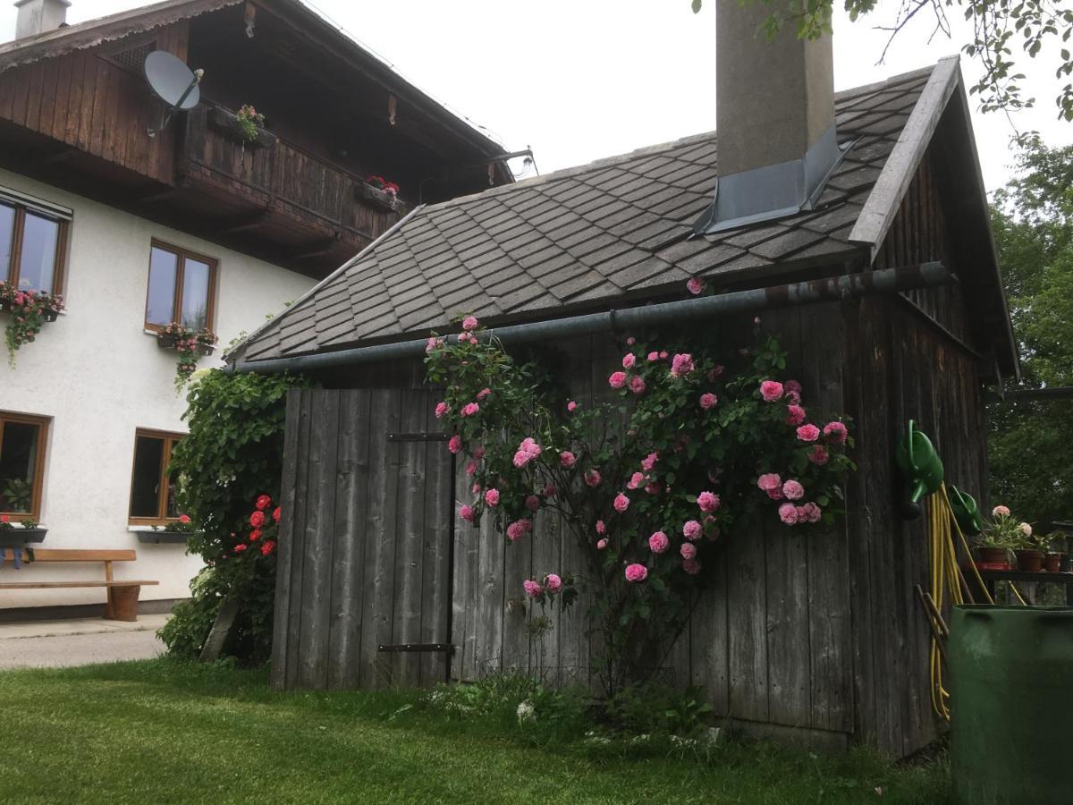 Strauss Appartements Saint Wolfgang Exterior foto
